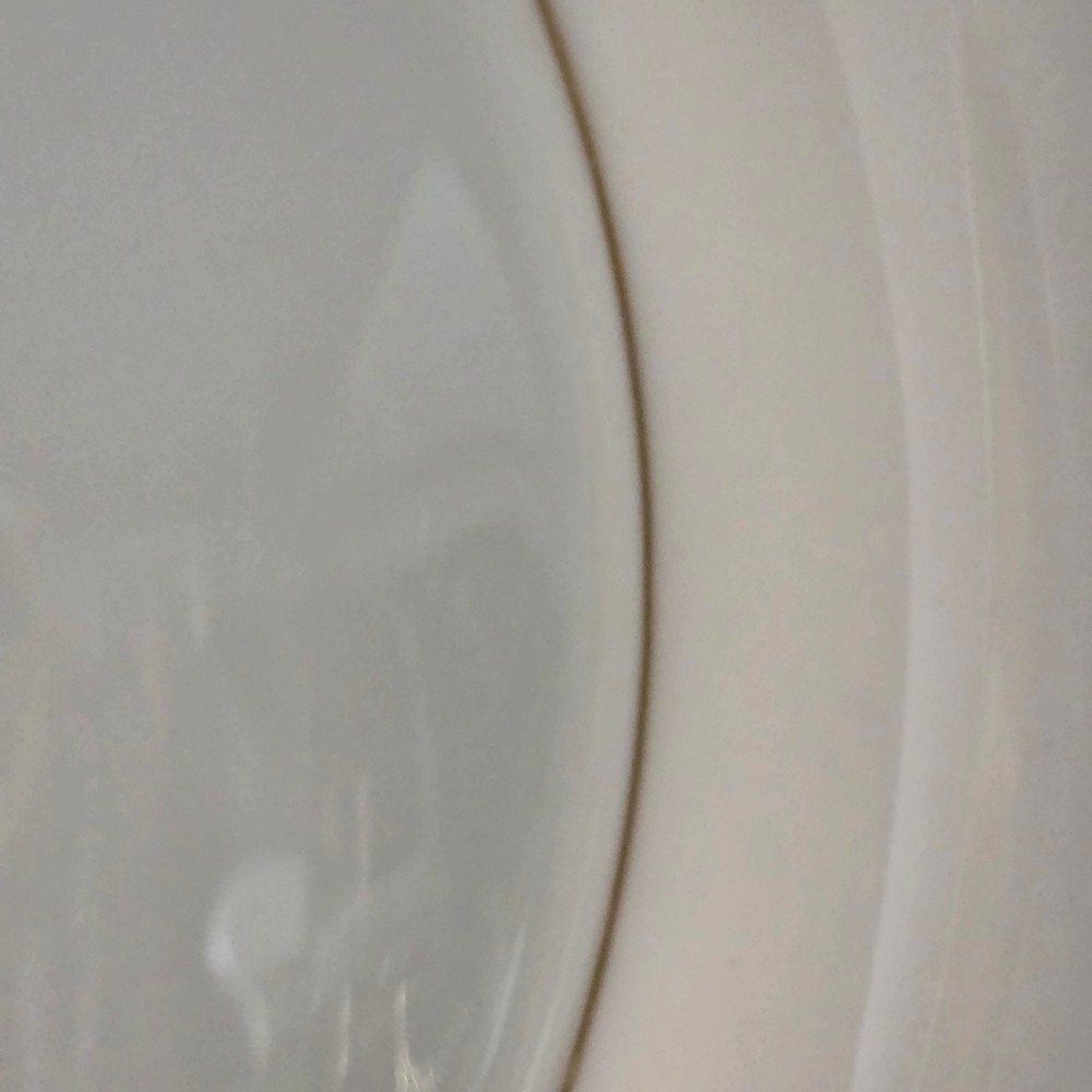 NEW Lenox Eternal Dinner Plates Set of 2 Ivory Gold Trim Dimension Collection - Picture 6 of 8